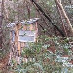 森になじむ建物…トイレです。